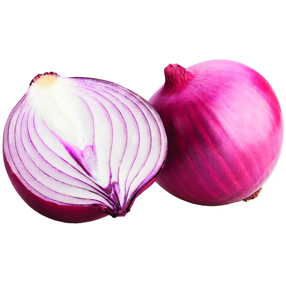 Introducing Our New 2024 Export: Fresh Red Onions Of Vietnam's Finest ...