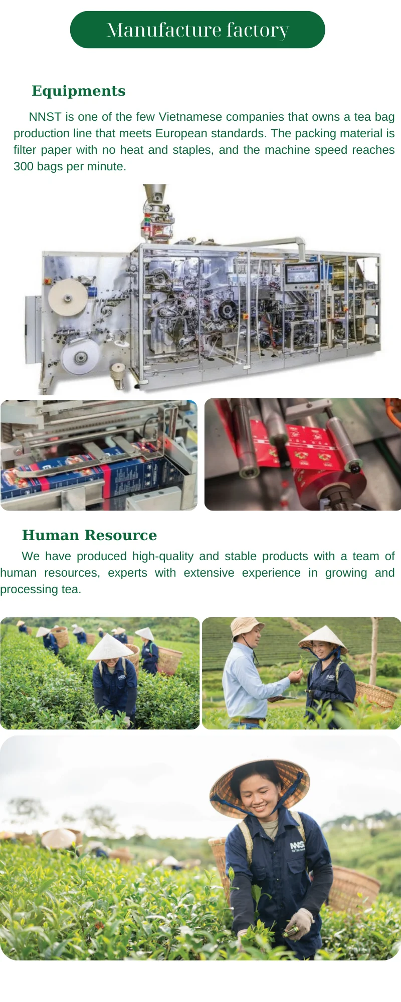 Wholesale Jasmine Tea Black Tea 300g 100 Natural & Fresh Aroma Black