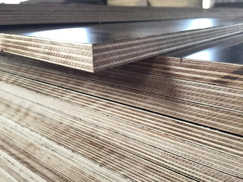 2022 Plywood Acacia Film Faced Phenolic Firstclass Industrial Film