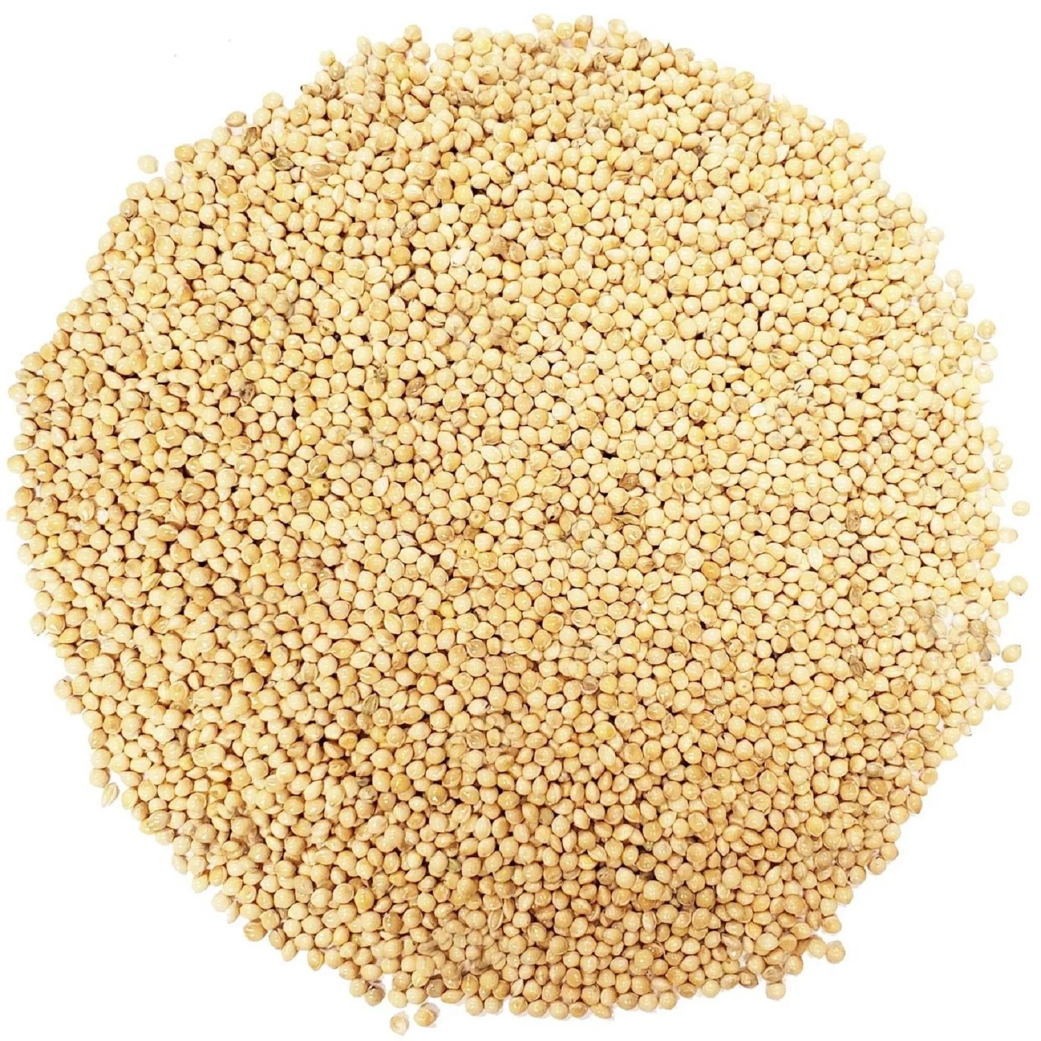 Yellow Millet Glutinous Broomcorn Millet Sticky Millet For Bird Seeds