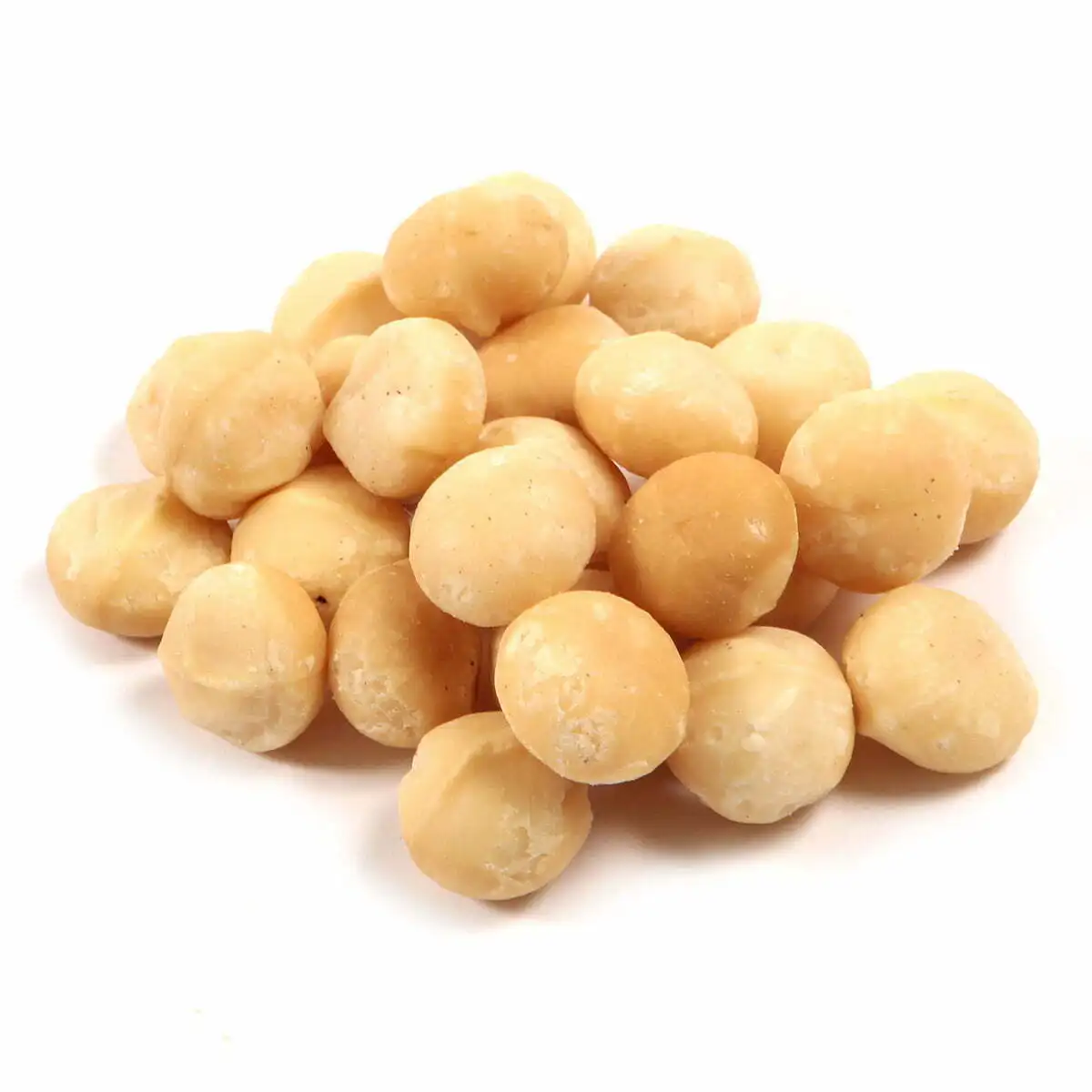 Premium Quality Fresh Macadamia Nuts Roasted and Dried in Bulk for Wholesale and Retail for Large Orders
