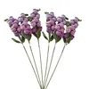 Pourpre