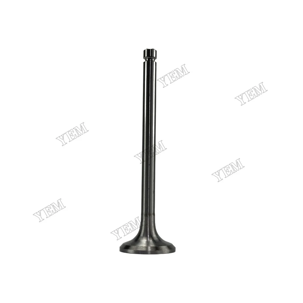 Exhaust Valve Fit for Laidong 4L22B Engine 4