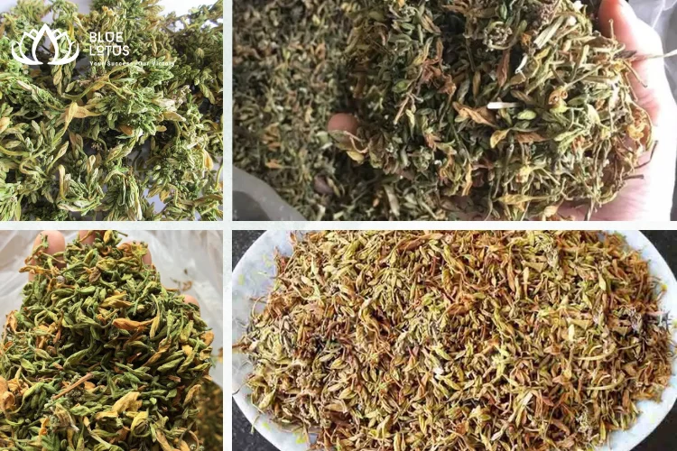 Pickled Fresh Male Papaya Flowers Male Dried Papaya Flowers Papaya