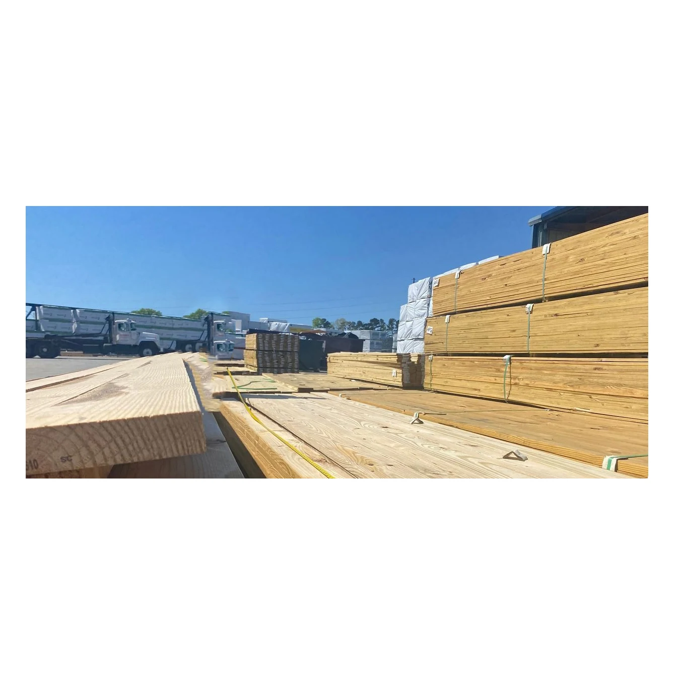 Hot Selling Timber Construction Pine/douglas-fir/rubberwood/paulownia ...