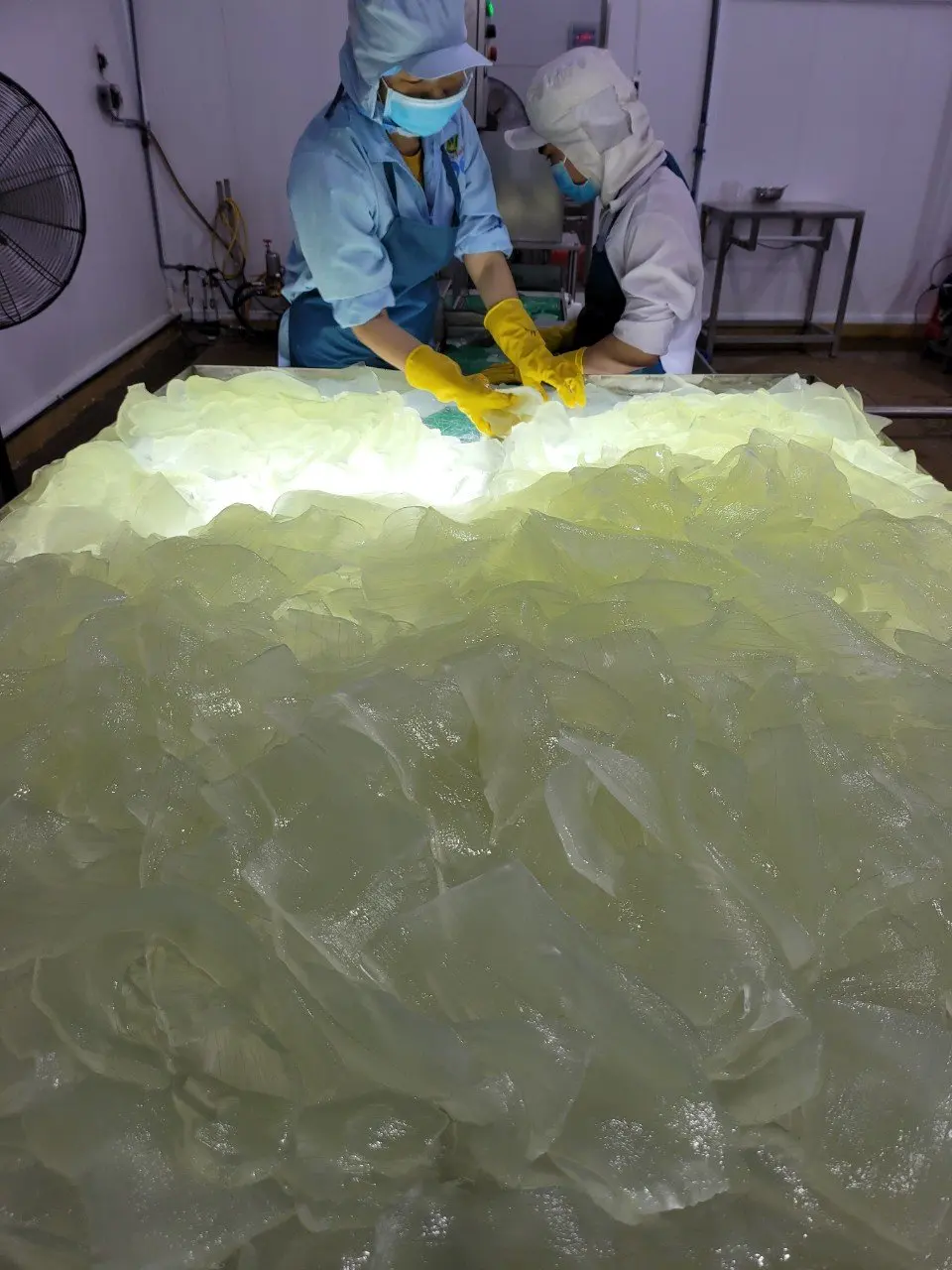 Алоэ вера для напитков с алоэ вера (Ms Kennie)