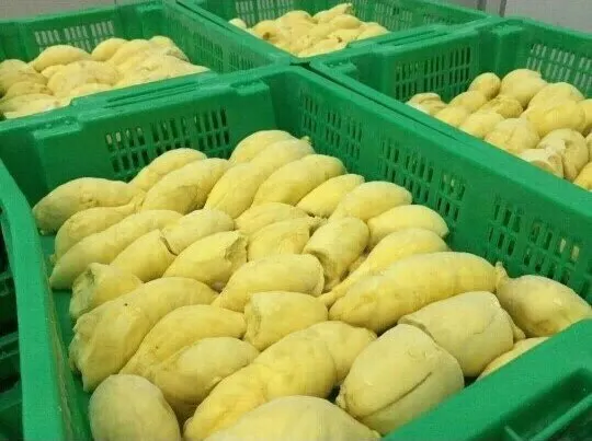 Frozen Monthong Frozen Durian Made In Vietnam Good Price Buy Monthong Durian Frozen Iqf Fresh