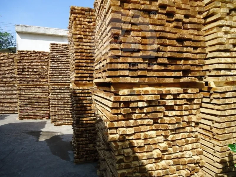 Cheap Price Rubber Wood Log Low Price High Quality Rubber Wood Timber / Sawn / Dried Rubber