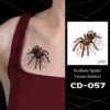 CD-057-Tarántula negra naranja en la web