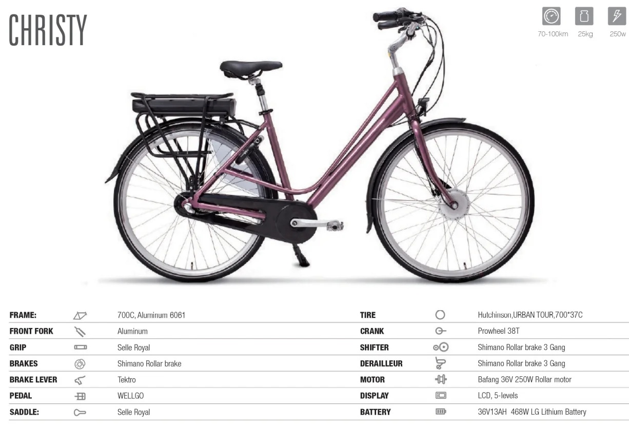 Landon Cargo Bike Made In Taiwan,China Bakfiet Electric Cargobikes E