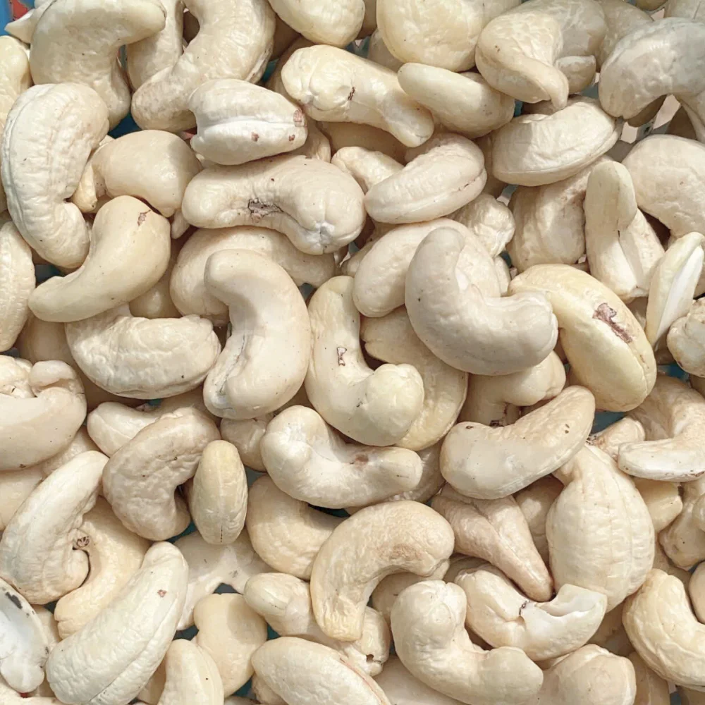 Cheap-Bulk-Ready-To-Ship-Raw-Cashew-Nuts-WW180,-WW240,-WW320-SANTIGO-Indian-Cashew-Nuts-Cashew-Nuts-Low-MOQ.png