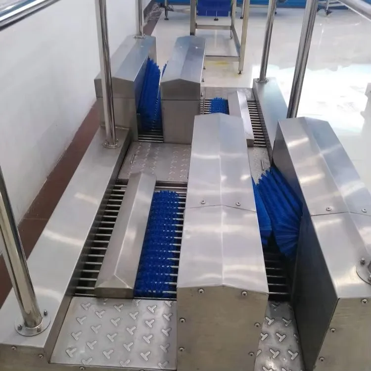 Automatic Brush Disinfectant Spray Smart Sole Washing Machine for Industrial Hygiene Area