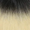Ombre Color #1B/#60