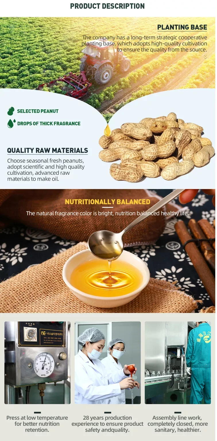 Refined Peanut Cooking Oil Supplier 5l Packaging Cooking Oil Buy