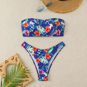 Distributors Swimwear Open Sexy Young Girl 2026 Floral Asian Girls In Micro Women Hot Bikini