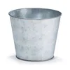 Galvanized