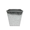 Galvanized