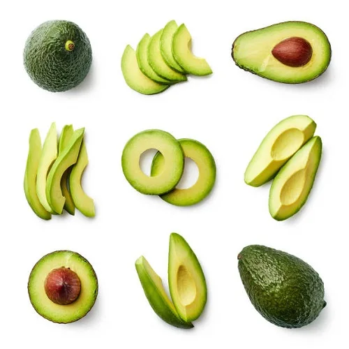 Fresh Avocado with Global Certifications Exporter
