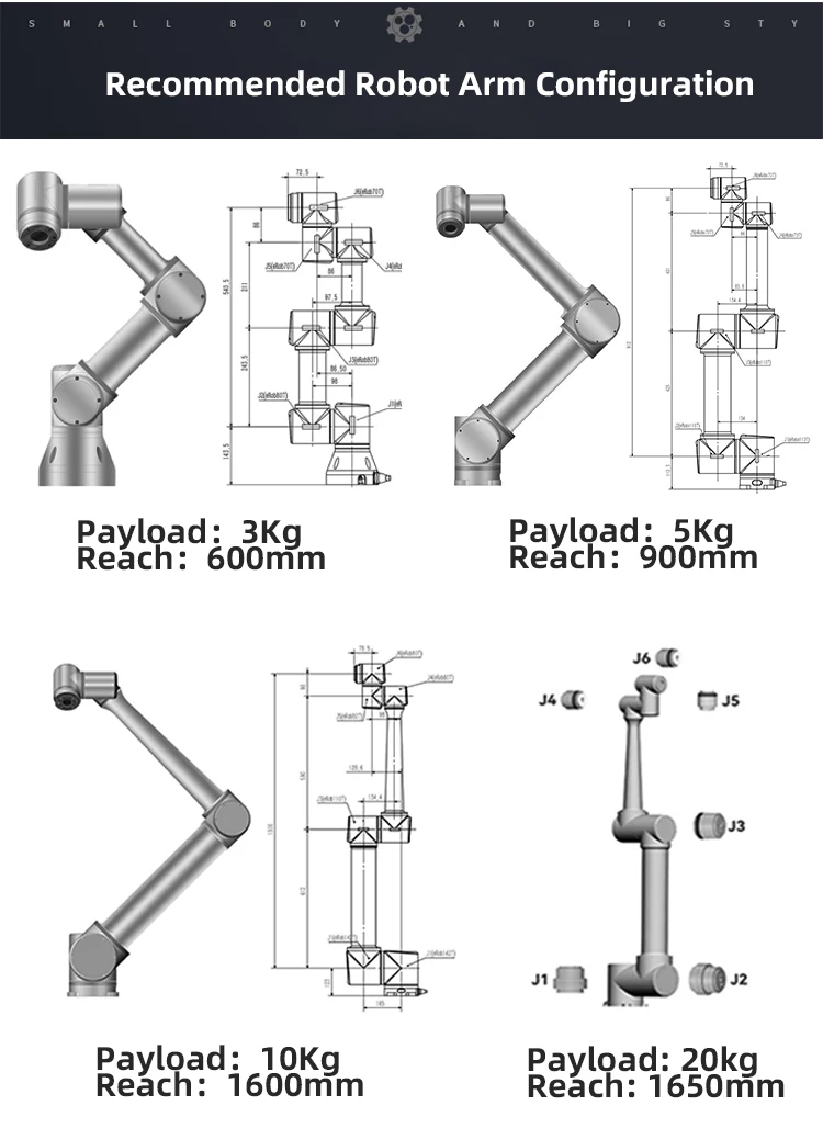 Jupiter Customized Exoskeleton Torque Joint Robotic Arm Hollow Bldc