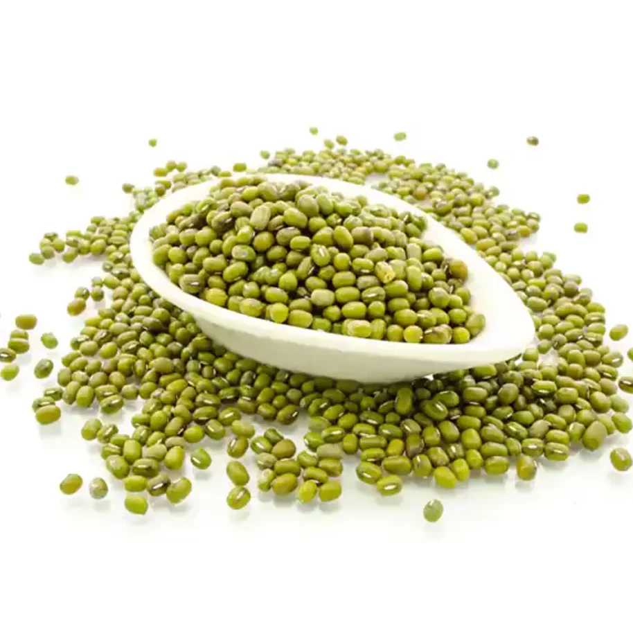 Mung Beans Good Quality Green Mung Beans Wholesale Price for export Philippines