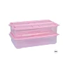 Rosa 4 gato