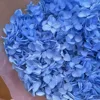 Azzurro di cielo