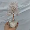 As a Picture