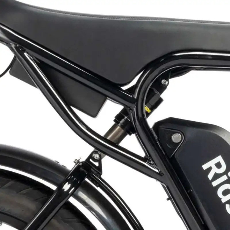 RIDSTAR Q20 20" Fat Tires Electric Mountain Bike 500W Motor 48V 15Ah Battery Max Speed 48km/h