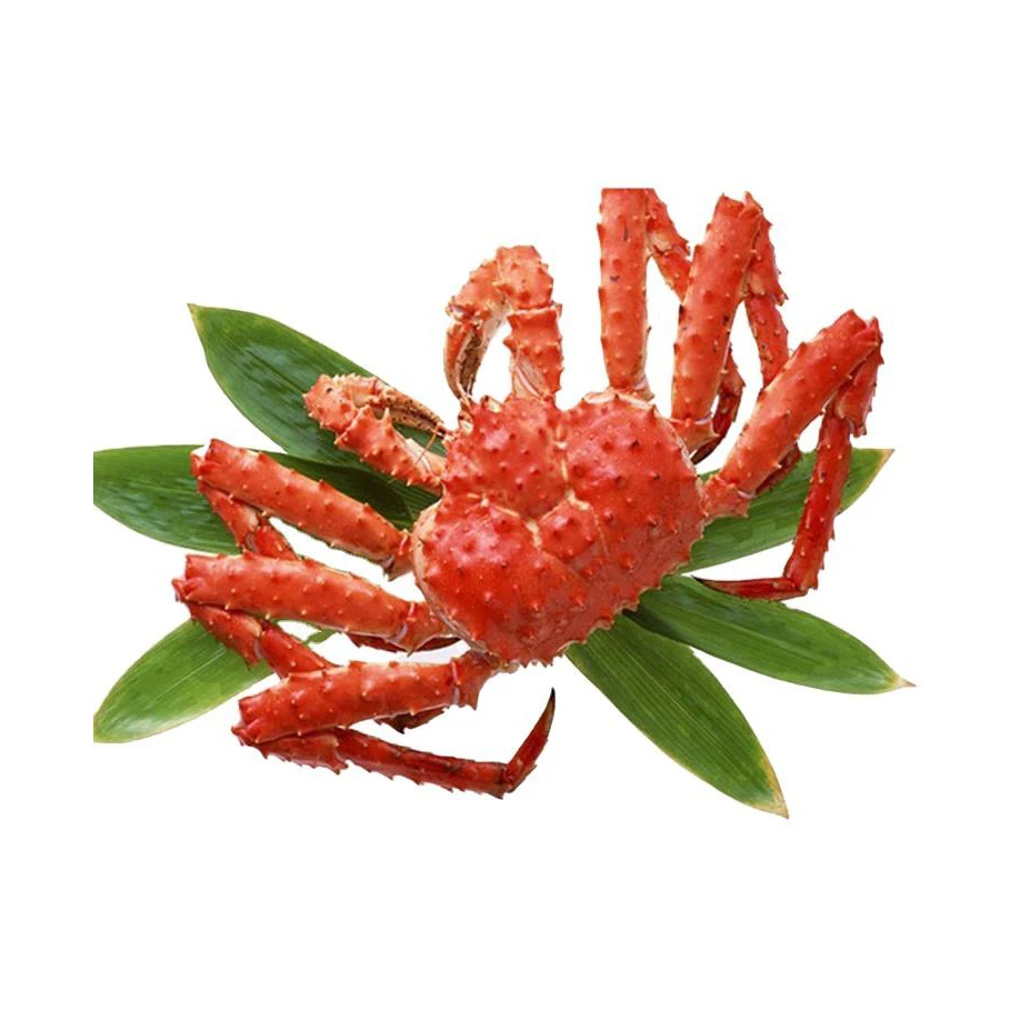 Fresh Red King Crab Fresh/frozen/live Red King Crabs,Soft Shell Crabs