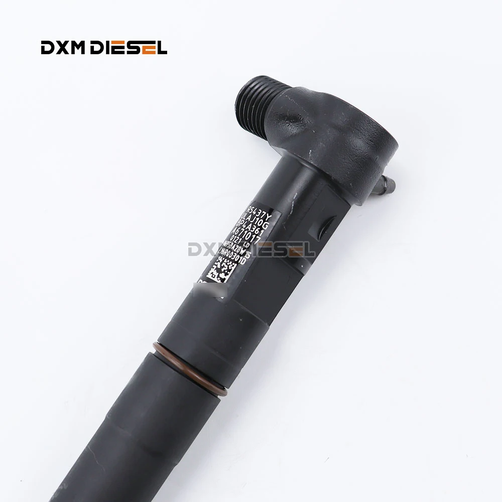 DXM Diesel Common Rail R03301D For Delphi JMC 2.8L EJB R03301D EJBR0 3301D Fuel Injection EJBR00301D details