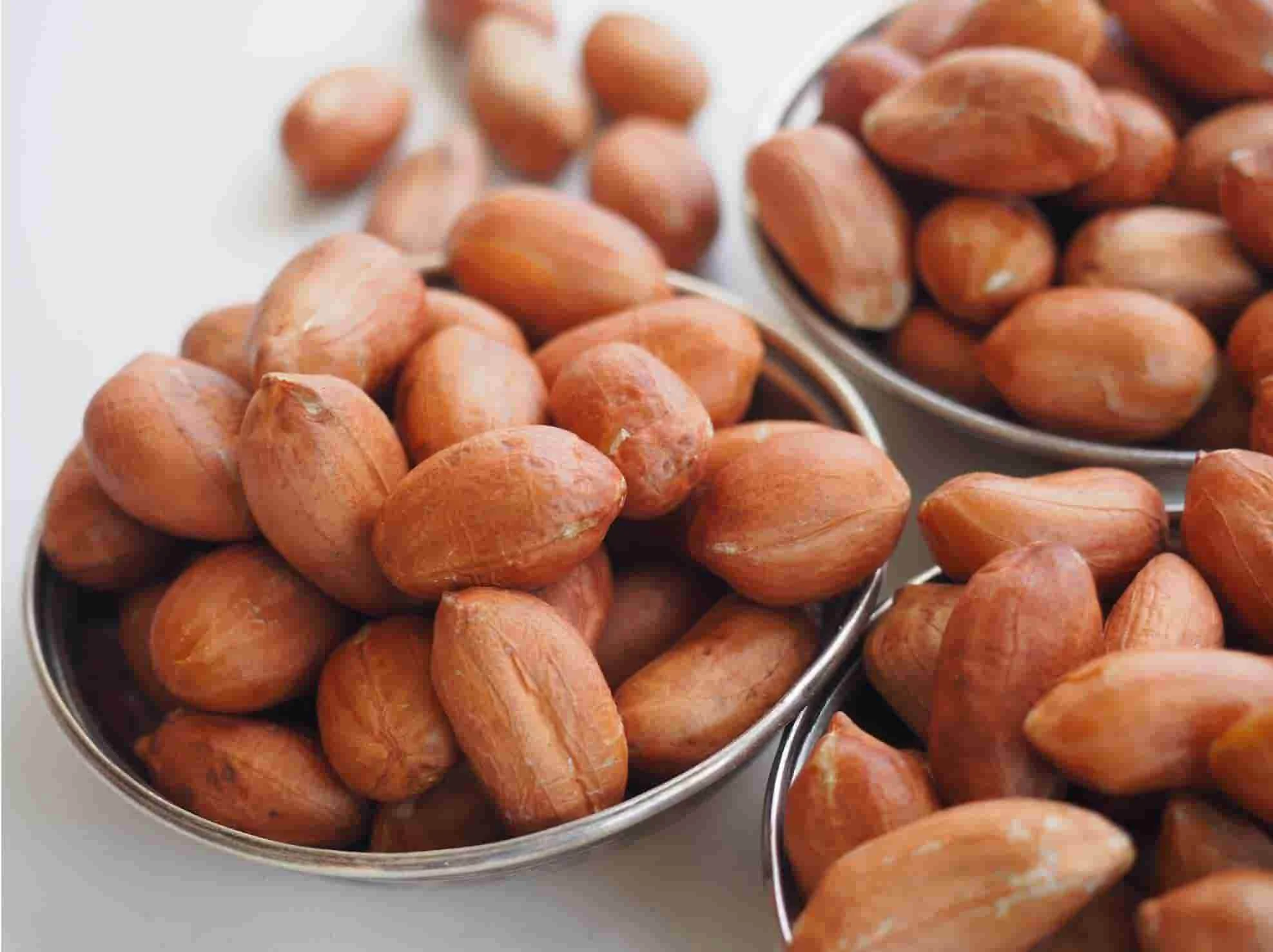 Wholesale Red Blanched Peanut Kernels Bold & Java Peanuts Dried Top Grade 25kgs Vacuum Packed China Origin