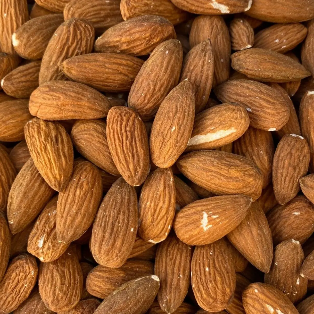 Bulk Wholesale Almond Nuts 100% Premium Grade New Crop Raw & Roasted Salted Almonds High Quality Healthy Snack Dry Fruits