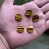 Brown/Yellow