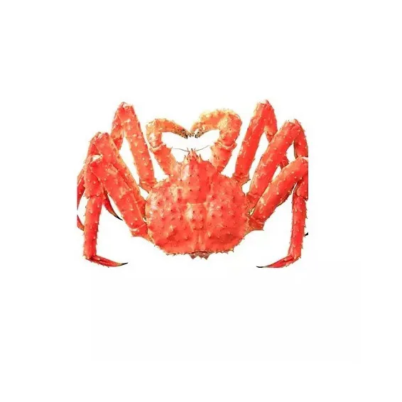 Frozen King Crab/live King Crabs/king Crab Legs For Sale At Wholesale
