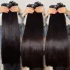 Weft01