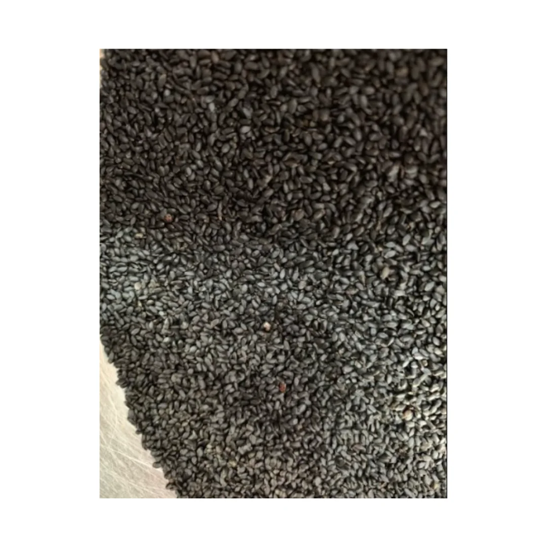 Super deal on basil seeds best quality product from Vietnam trusted exporter dried basil seeds with best quotation