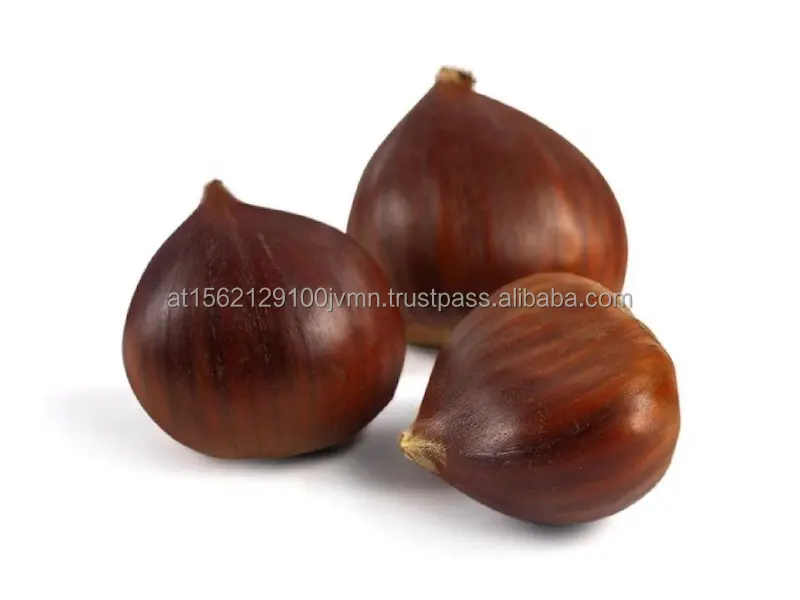 Whole Peeled Chestnuts For Sale At Low Prices Buy Chestnuts For Sale