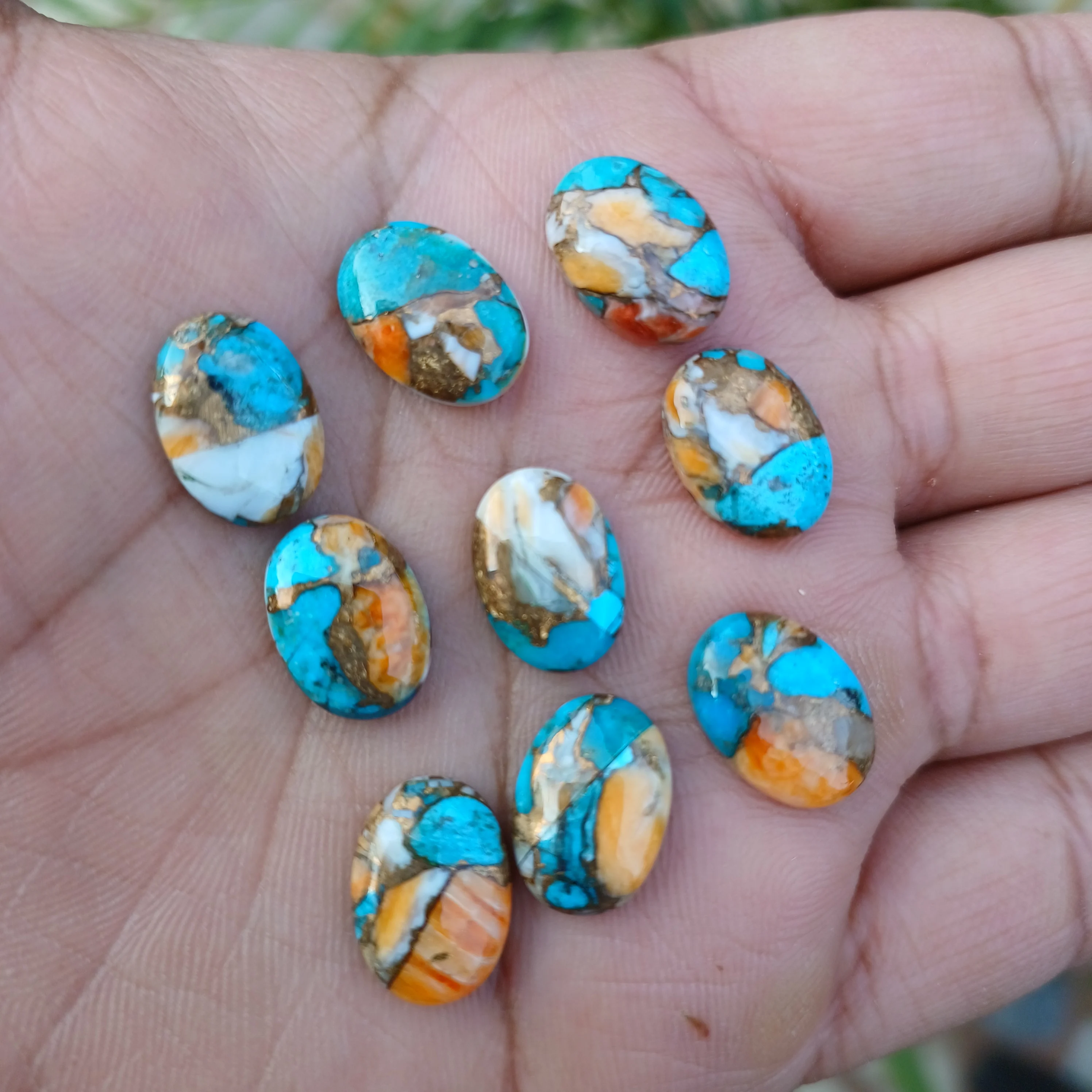 Natural Oyster Turquoise Cabochon Oval Shape Calibrated Loose Gemstone 