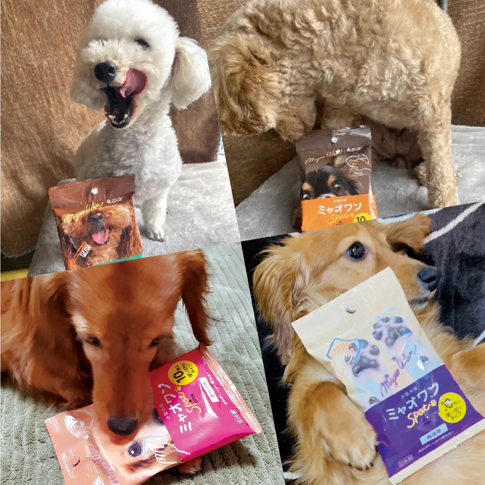 Dentifrice Ear Cleaning Tear Stains Paw Pad Travel Customized Wet Wipes