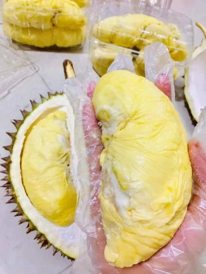 Competitive Price Frozen Durian with Seeds Ms Sophie