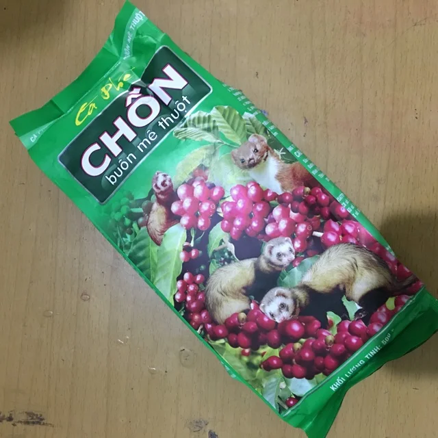 Competitive Price Premium Grade 100% Organic 500g in Bag Packaging Roasted Robusta Green Weasel Coffee Beans Powder From Vietnam