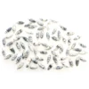 Dendritic Opal
