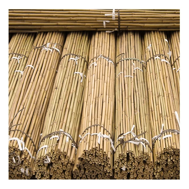 Wholesale Vietnam Bamboo Poles-100% Natural Bamboo Pole/cane/stick ...