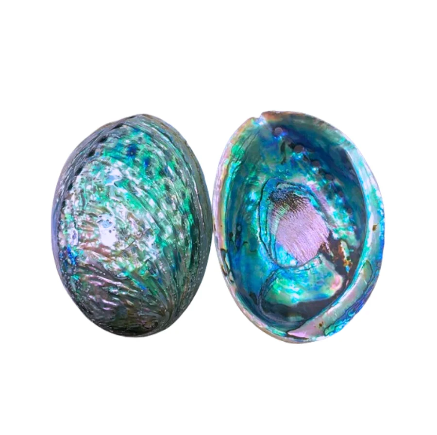 Postcards: Cartolina - Postcard - Botricello - Spiaggia - Anni '80