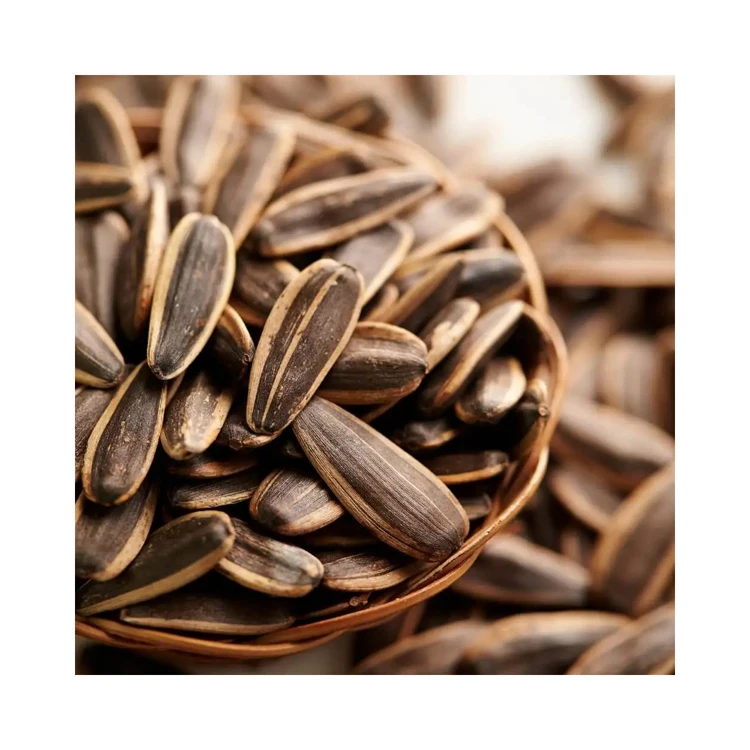 Different Types Of Sunflower Seeds / Sun Flower Seeds Kernel Buy