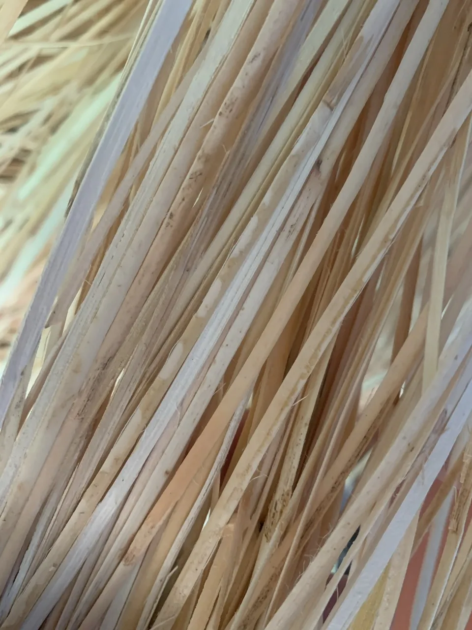 2023 Plastic Oval Mesh Rattan bing Oem Custom Ready To Export