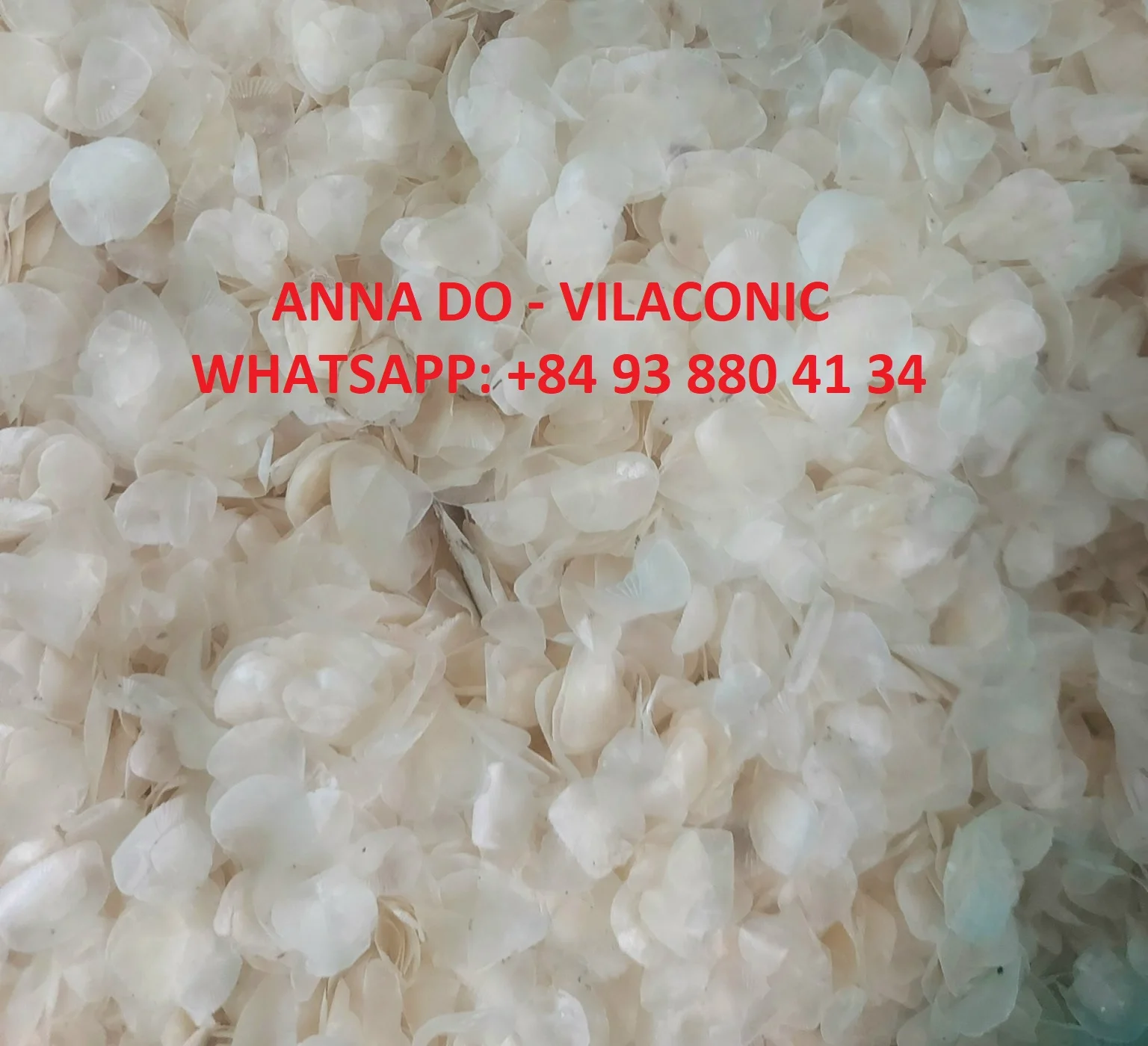 Dried Decalcified/ Barramundi / Seabass/ Snakehead Fish Scales/ Talapia