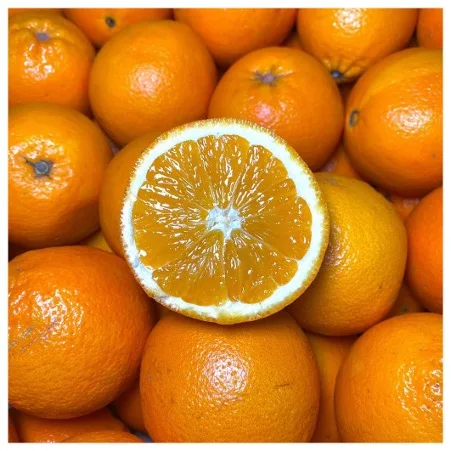 Fresh Organic Valencia Mandarin Oranges Yellow Packing in Boxes Citrus Fruit France 25kg