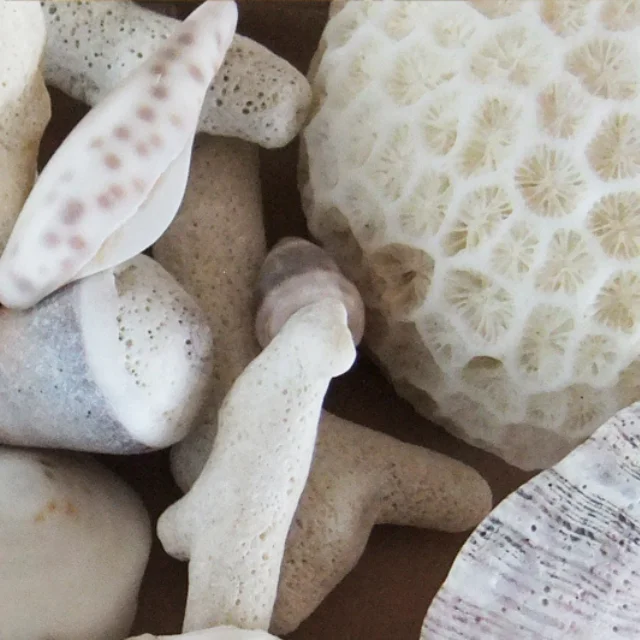 Best Selling Products in Japan Plaster Painting Supplies for House