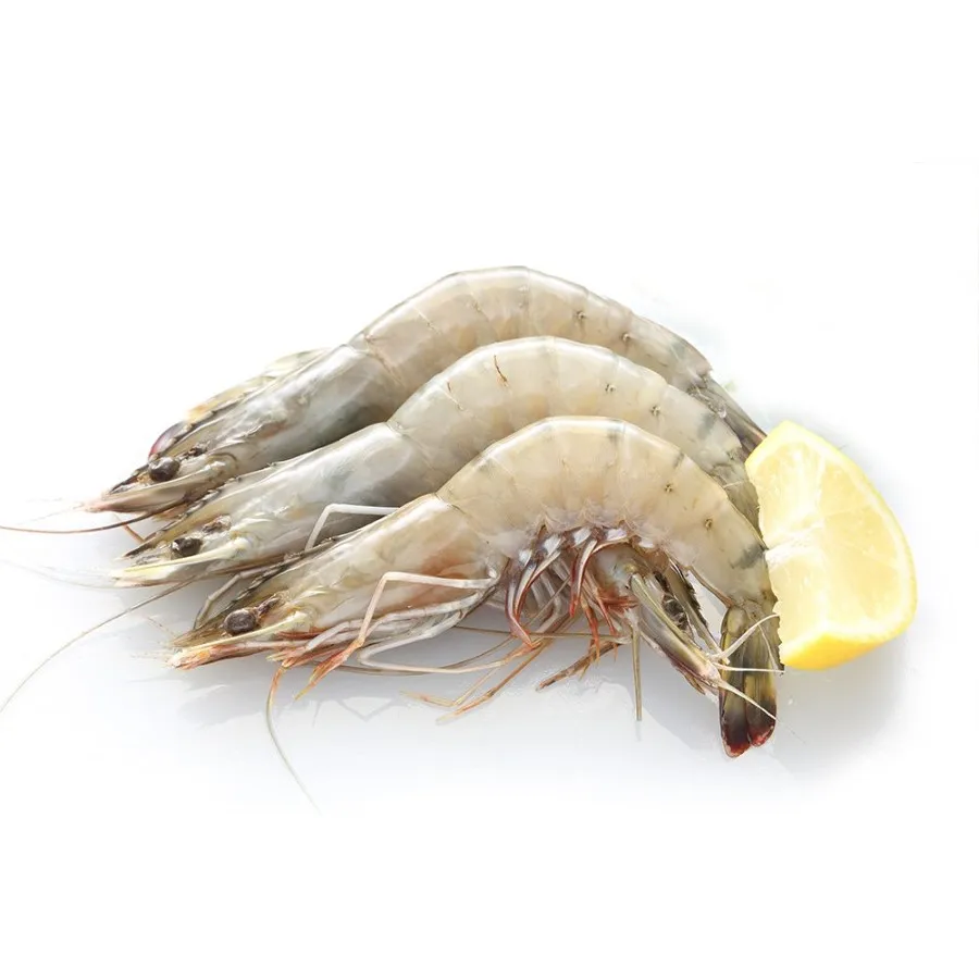 Fresh Frozen Seafood Prawns Frozen Vannamei Shrimp Good Quality Best